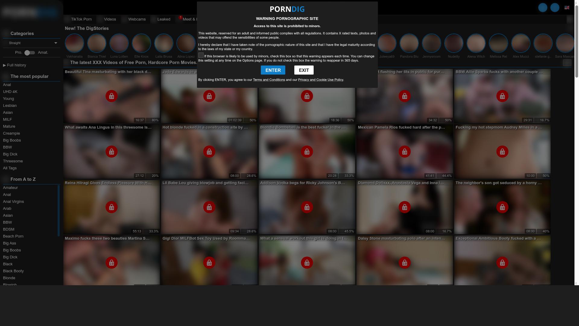porndig.com