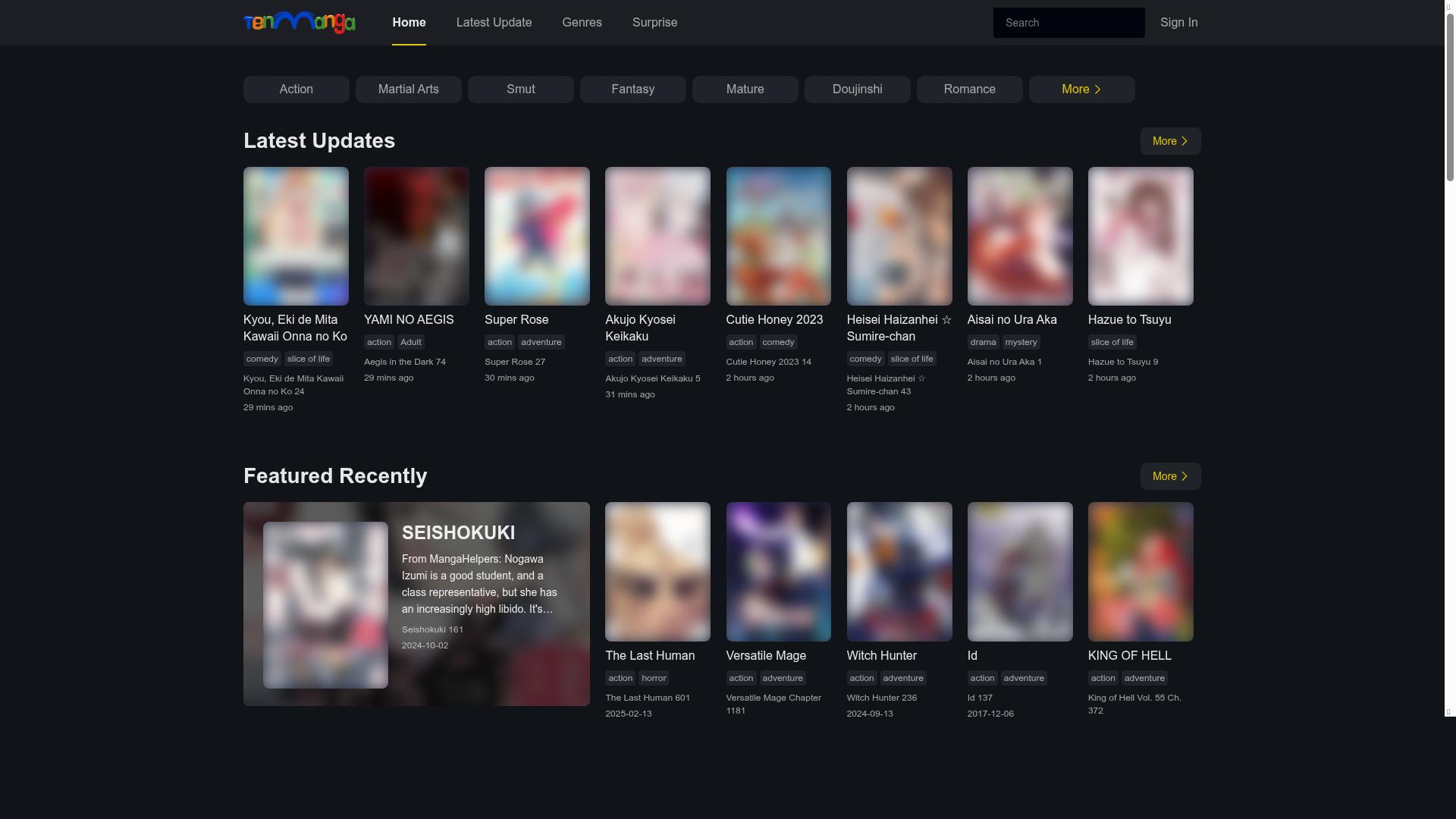 tenmanga.com